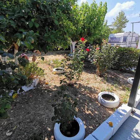 Hotel Green Garden Caravan Agrilia Esterno foto