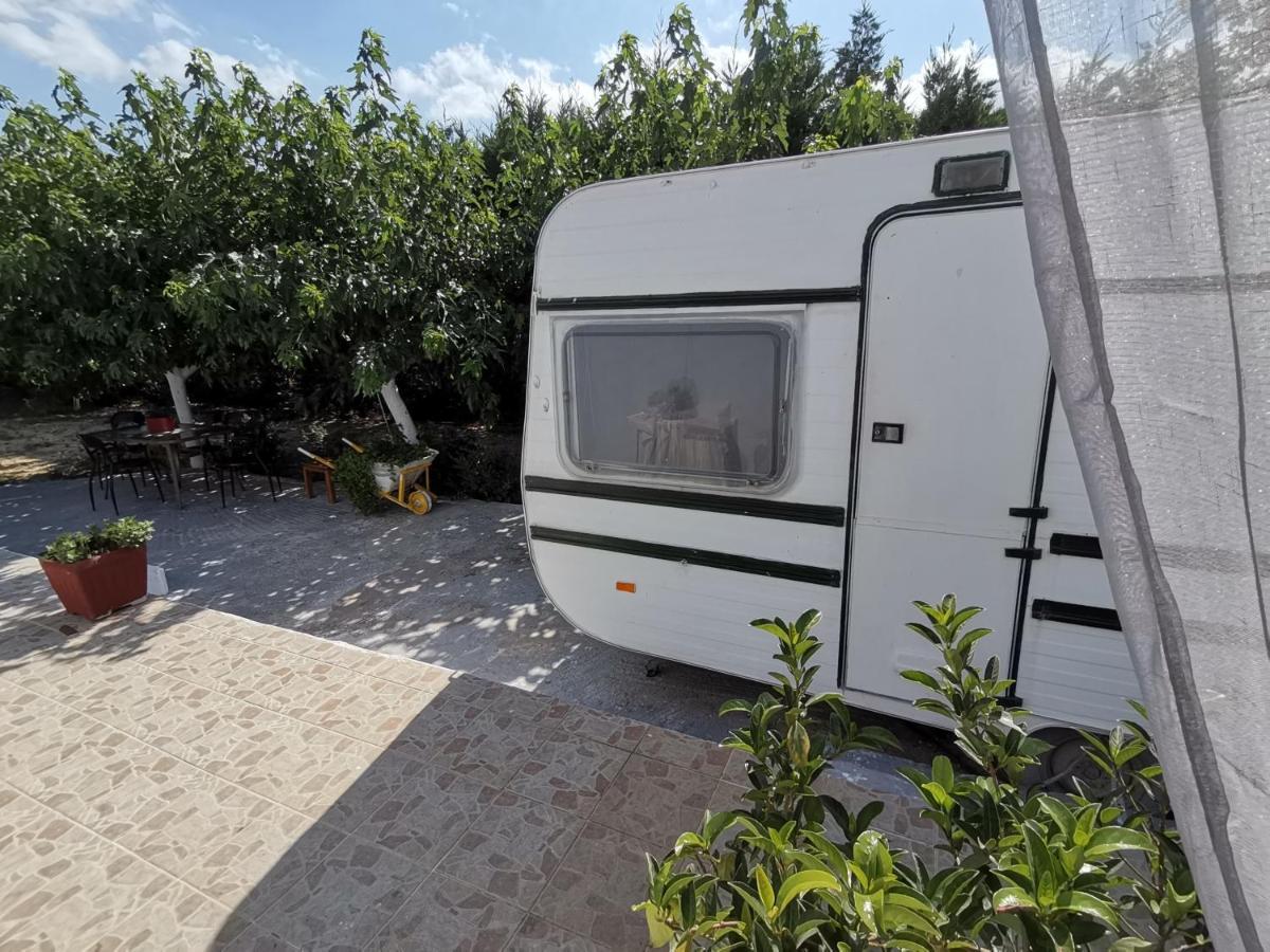 Hotel Green Garden Caravan Agrilia Esterno foto