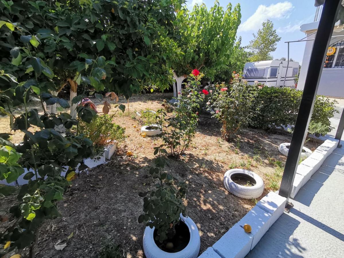 Hotel Green Garden Caravan Agrilia Esterno foto